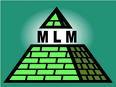 MLM Dude