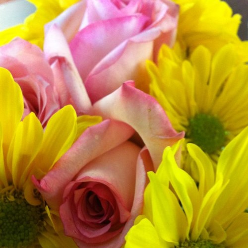 neennola's profile picture. 