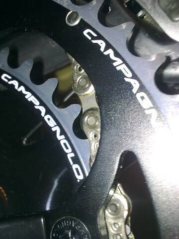 svelteshihtzu's profile picture. 