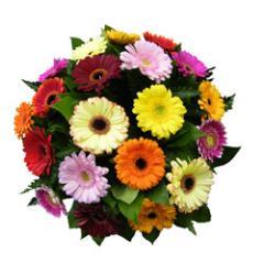 Bestel direct je boeket en bezorging!! Online webshop http://t.co/A2GVcOWE of email bloemenvanthijs@gmail.com