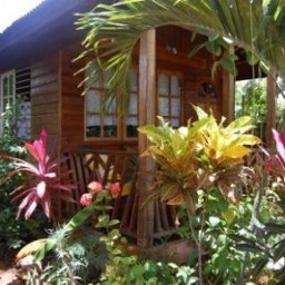 Owner of the Judy House Cottages & Rooms. Negril, Jamaica. Love to see people coming to Jamaica and enjoying it to the max as it is such a beautiful country.