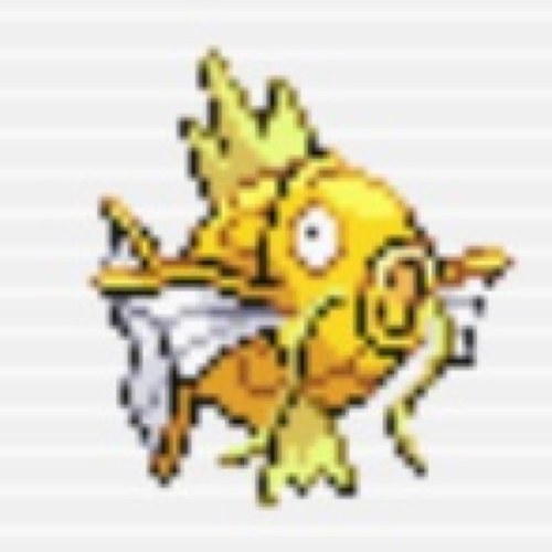 pocoapoco_chaos's profile picture. 