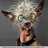 vsb_cabra's profile image