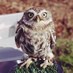Gemma B (@littleowlleeds) Twitter profile photo Gemma B (@littleowlleeds) Twitter profile photo