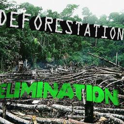 DeforestElim Profile Picture