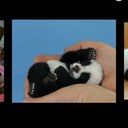 lauryn white - @lulubell7snow - Twitter