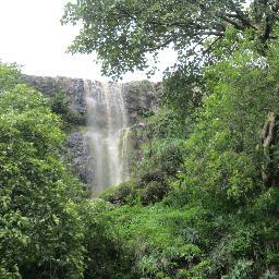 ChiaraTurrini2's profile picture. 