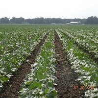 Christy (@agnewchristy) 's Twitter Profile