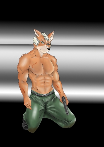 Went rogue after my comrades in the army betrayed me. I lead my own pack now. Rovech; stands for bloodthirst. #ProudFox  #RP (21+)