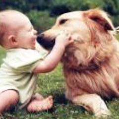 girmile's profile picture. 포기하지 말라. 절망의 이빨에 심장을 물어 뜯겨본 자만이 희망을 사냥할 자격이 있다. -하악하악 이외수