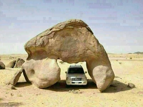 نائب رئيس نادي المجزل