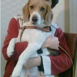 reteing's profile picture. 돼지는 하늘을 쳐다보지 못한다. 넘어져야 비로소 하늘을 쳐다 볼 수 있다. 하지만 해바라기는 늘 하늘을 향해 있다. 해바라기가 아름다운 것은 아무리 흐린 빛도 찾아내 그 쪽을 향하는데 있다. 별을 관찰하는 소년의 심정으로 하늘을 쳐다보아라