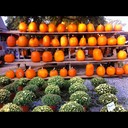 Lynn Reyes - @LynnReyes229 - Twitter