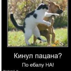 Ежедневные приколы много веселья и смеха!!!!!!:))))  #Followback