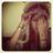 Andreitamach's profile image