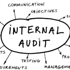 Promoting communication and collaboration between Internal Auditors