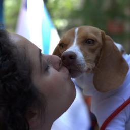 imjusteleanor's profile picture. I tweet.