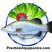 Practical Aquaponics (@easyaquaponics) Twitter profile photo