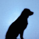 laura bonn - @laubon880 - Twitter