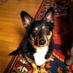 SpangenbergNils's profile picture. Vd och konstnärlig ledare Vadstena-Akademien. Regissör, fd. sångare