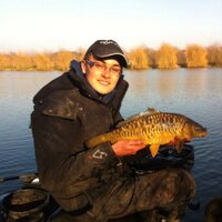 taylor thorpe (@thorpe_taylor) 's Twitter Profile