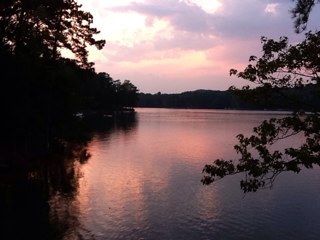 jrickard62's profile picture. 