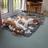 issy_fraser's profile image