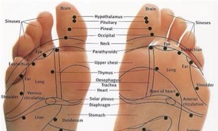 justreflexology's profile picture. Holistic, Wellness enthusiast. Bring kindness to your world each day! @just eden Reflexology. Rossendale