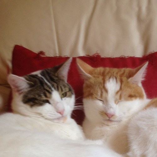 smokeybabexxx's profile picture. 