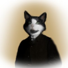WebDevCat's profile picture. Web developer. Fan of cats. Everything #Javascript, #jQuery, #php, #html and #css. And #snowboarding.