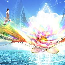 Welcome to the The 5th edition of LCF . 
Love & Light to all :-)