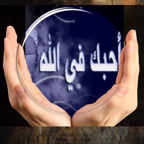 قل إن ربي يَبسُطُ الرزق لمن يشاء من عباده وَيَقدِرُ له وما أنفقتم من شيء فهو يُخلِفُهُ وهو خير الرازقين ﴿٣٩﴾