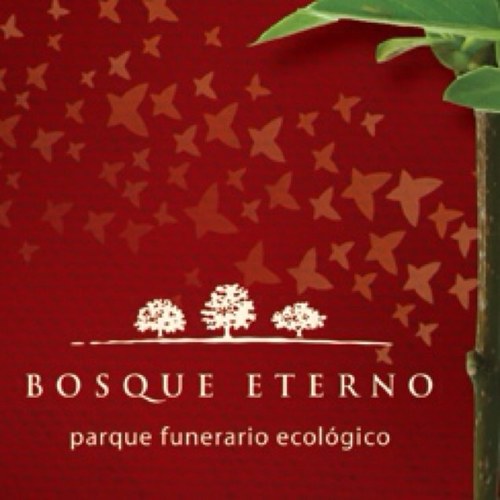 BosqueEterno's profile picture. Somos el primer Parque Funerario Ecológico en Latinoamérica.
Te ofrecemos diferentes alternativas para cenizas y lotes ecológicos en un bosque lleno de vida...