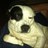 stephen_c1973's profile image