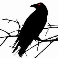 Black Raven Films (@blackravenfilms) 's Twitter Profile