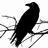 BlackRavenFilms's profile image