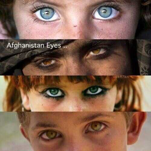 ههههههههههههههههههههههههههه انت من الرجل  صح