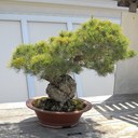 Sam Winter - @winterific - Twitter