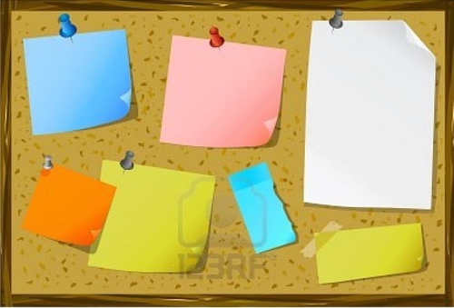 bachecannunci's profile picture. 