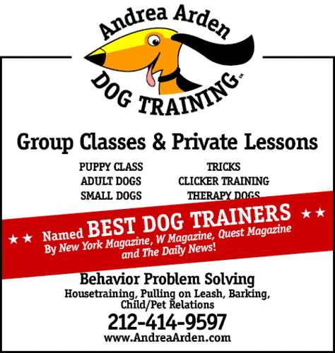 @Andrea_Arden Dog Training. NYC's leader in innovative education for dogs & their people since '94. 212-414-9597.