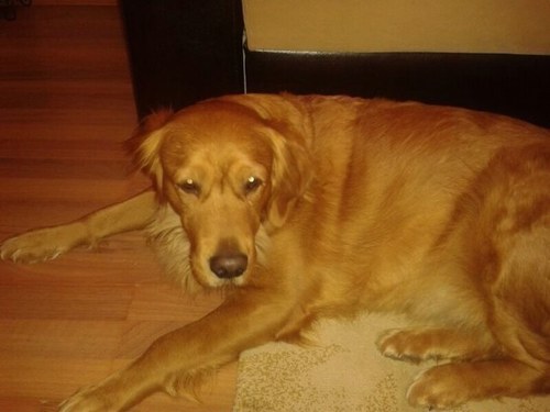 EMRAH.P