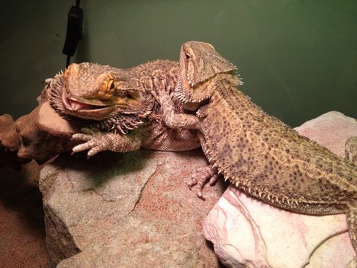 unshakeable77's profile picture. 