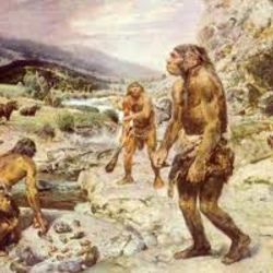 Neanderthal News - Sempre a Melhor Notícia!