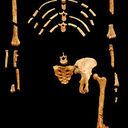 lucy wills - @lucywills5 - Twitter