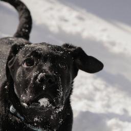 FateTrip's profile picture. 