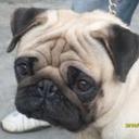 pablo parra - @poderosopablo - Twitter