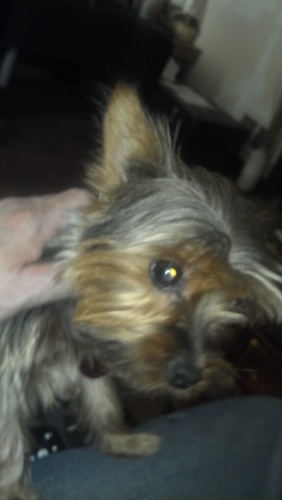 Chiefbudd's profile picture. Retired Mechanic of LB Smith Lincoln