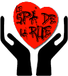 Les thérapeutes bénévoles du Spa de la Rue offrent aux plus démunis des soins en massothérapie, ostéopathie, naturopathie, soins de pieds et plus...