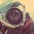 polgleb's profile image