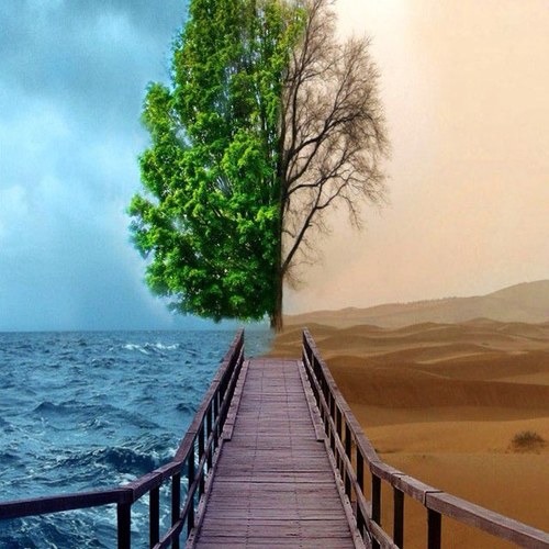 8thinkdifferent's profile picture. Nunca renuncio a mis sueños, solamente los aplazo.